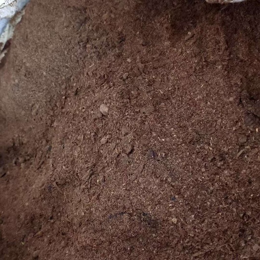 深圳黑水虻虫沙，优质动物饲料、有机肥料