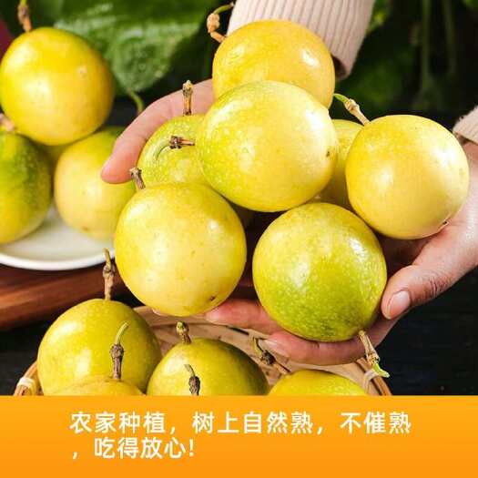 海口海南黄金钦密百香果产地发货一件代发
