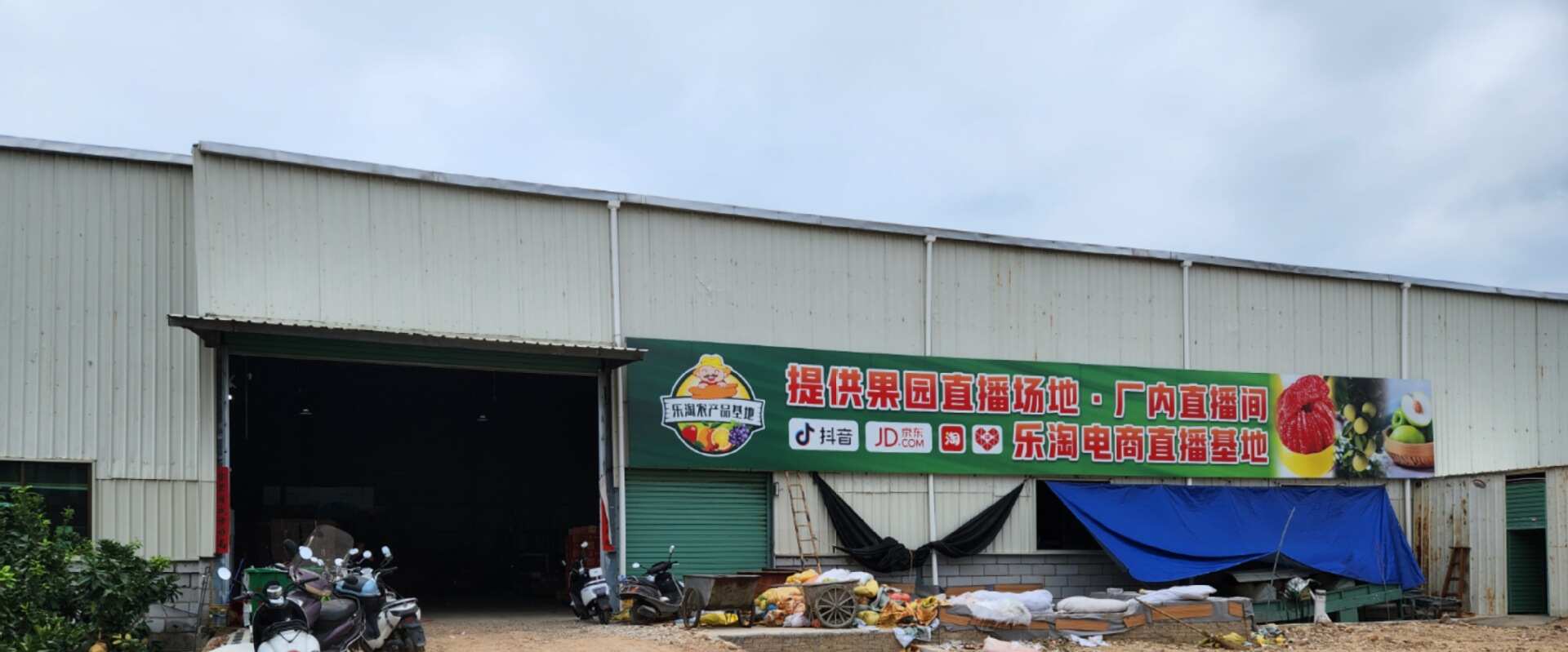 西柚红心水果当季时令富含叶酸水果