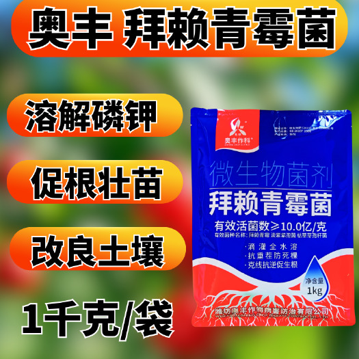 潍坊奥丰拜赖青霉菌促根壮苗溶解磷钾改良土壤抗重茬防死棵全水溶