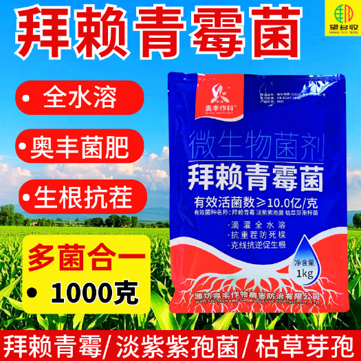 潍坊奥丰拜赖青霉菌溶解磷钾生根壮苗改良土壤防病害