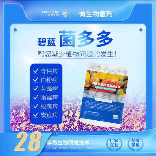 宁阳县菌多多，促生菌种和生防抗病菌种，有效活菌数≥100亿/g