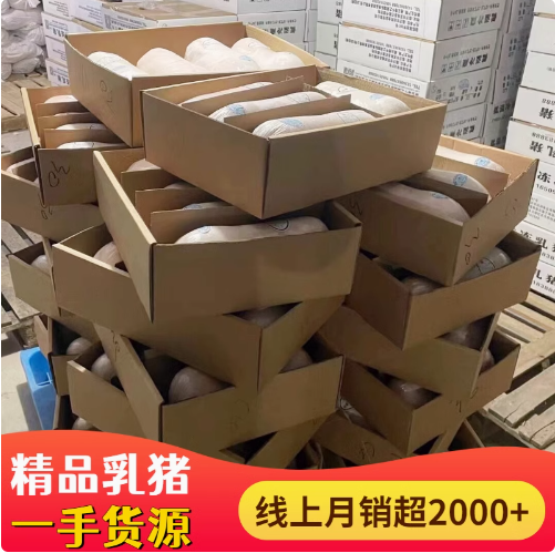 新鲜烤乳猪整只乳猪鲜冻广东脆皮香猪肉生鲜酒店烧烤批发