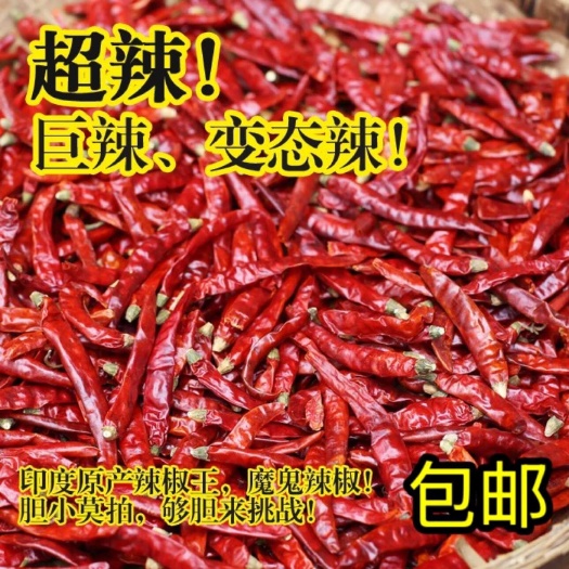 【包邮】印度魔鬼椒s17干辣椒超辣辣椒段批发辣度10万+