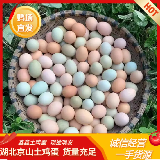 京山市湖北新鲜土鸡蛋 鸡场直销 京山农家散养 现捡发货