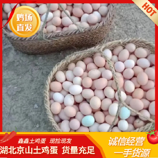 京山市京山土鸡蛋批发 大量有货