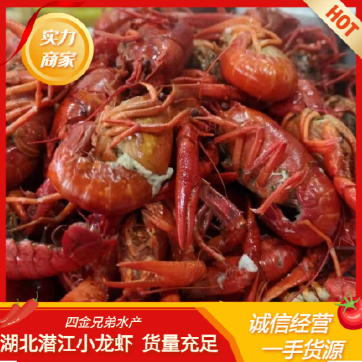 潜江市湖北潜江稻田清水小龙虾  基地大量批发