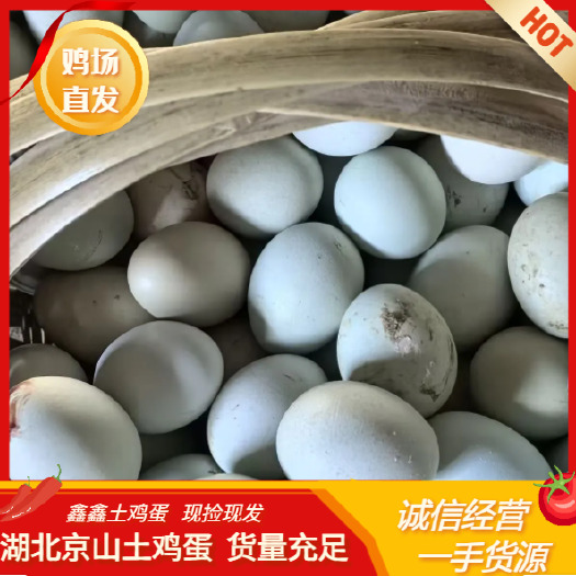 京山土鸡蛋 全绿壳 鸡场直发  360枚装