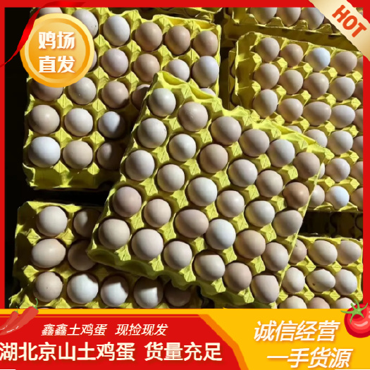 散养土鸡蛋 鸡场直发 420枚