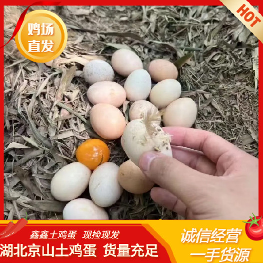 京山市京山鸡场直发土鸡蛋 品质保证 360枚装
