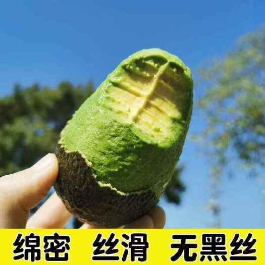 上海餐饮、茶饮用秘鲁即食牛油果A Vocado）