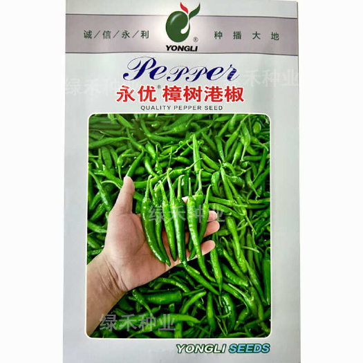 樟树港辣椒种子湖南特色辣椒早熟薄皮软皮青椒尖椒种子
