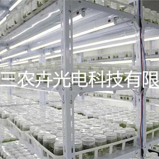 厦门T8-多肉补光灯