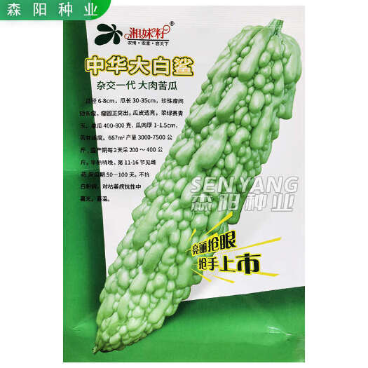 常德湘妹籽中华大白鲨苦瓜种子早熟高产白玉苦瓜金品蓝山长白苦瓜比亮