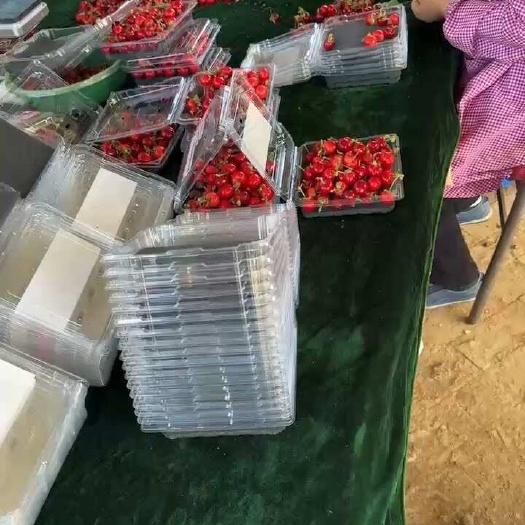 西安早熟樱桃美枣  萨米托高品质可盒装箱装 礼盒装陆运空运