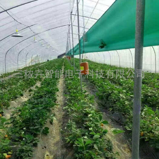 厦门T20-大棚草莓补光灯