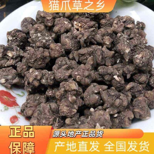 猫爪草之乡，新货上市，假一赔十，量大优惠。
