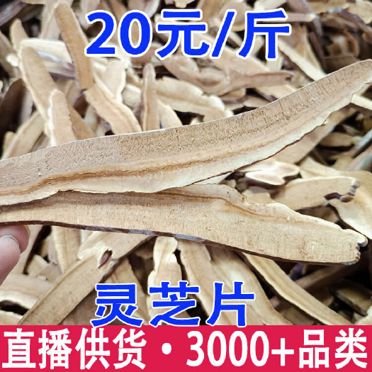 昆明灵芝 灵芝片 赤灵芝切片 灵芝泡水灵芝茶 赤灵芝片  大货批