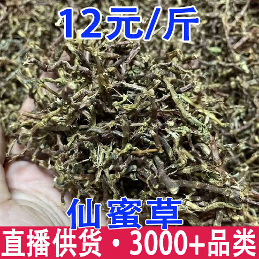 仙蜜草 云南仙蜜草 一件代发