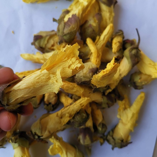 昆明黄秋葵花 黄蜀葵花 秋葵花 金花葵茶  一件代发
