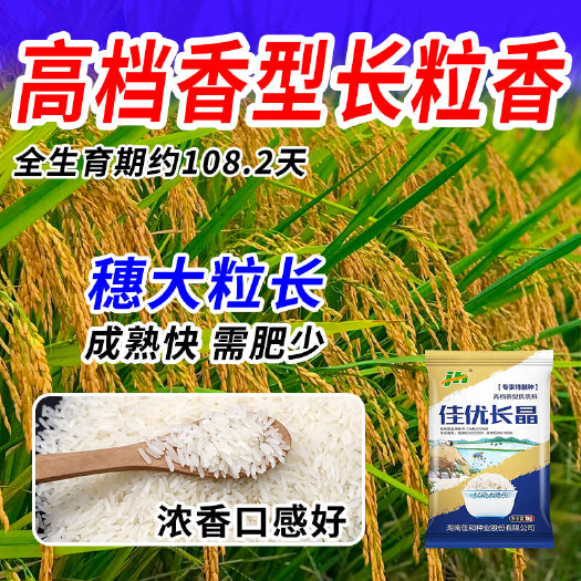 国审浓香食味金奖品种【佳优长晶】2斤装