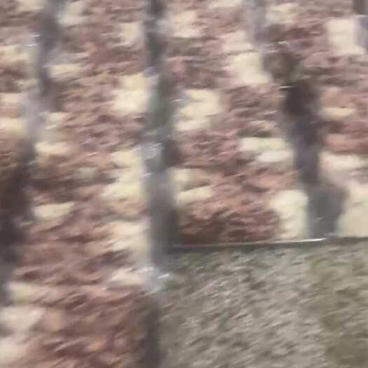 阳信县牛杂