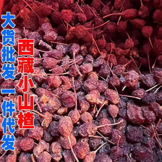 昆明藏山楂西藏小山楂西藏波密山楂一手货源