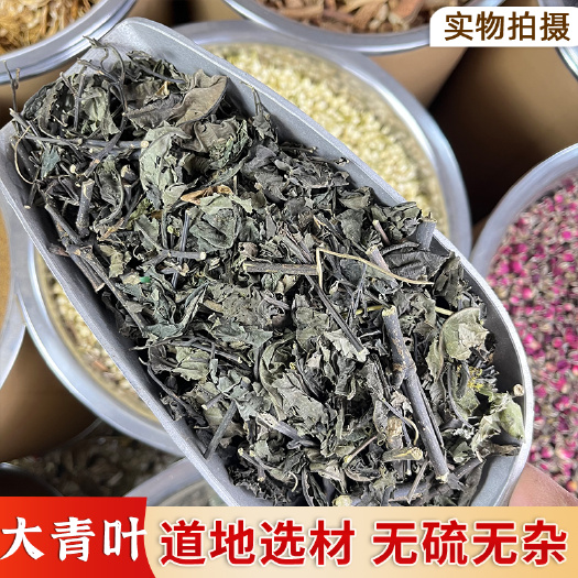 【永康元药业】中药材特级大青叶正品新货板蓝根叶子大青叶新鲜干