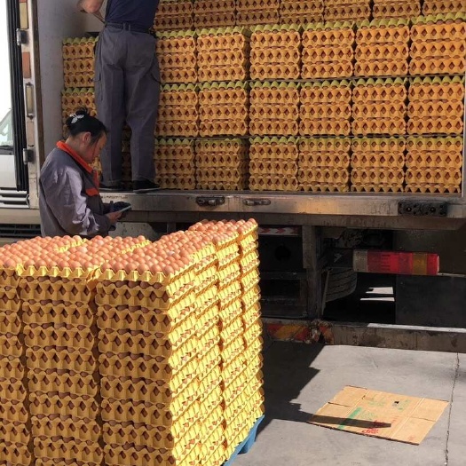 北京出售大柴 筐装箱装红蛋 双色 富硒 红心鲜鸡蛋 可以配送