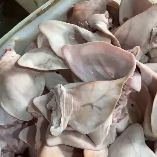 深圳新鲜精品猪耳朵，厂家一手货源。