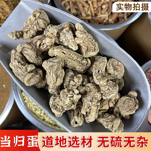 普宁市【永康元药业】当归中药材批发全当归完整当归头