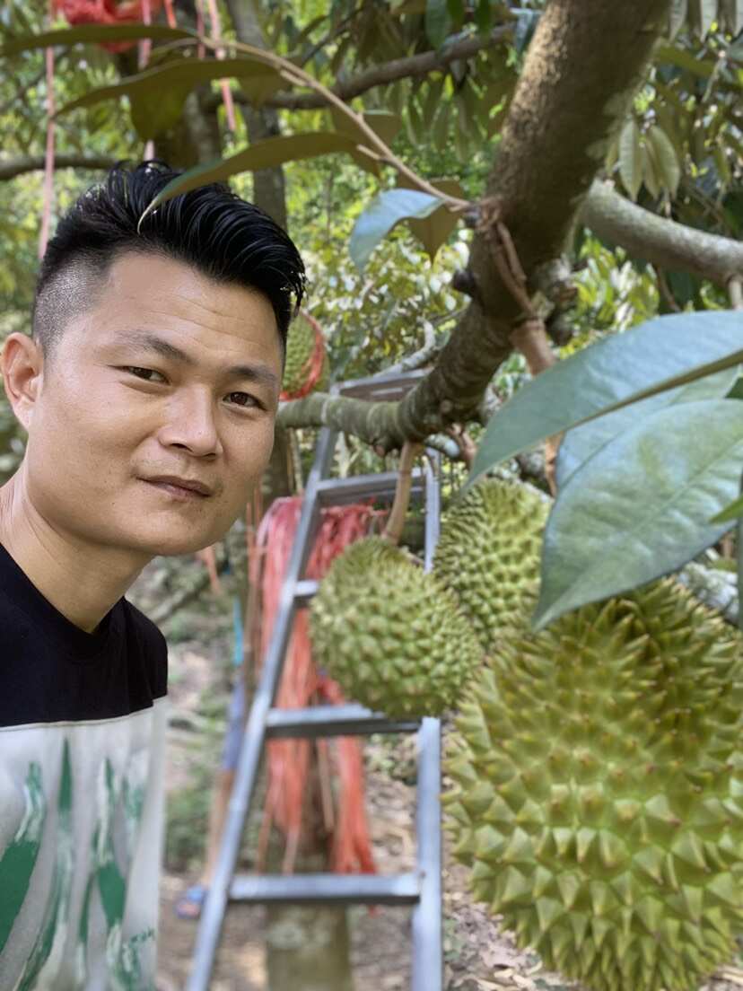 海南千禧專業(yè)供應
