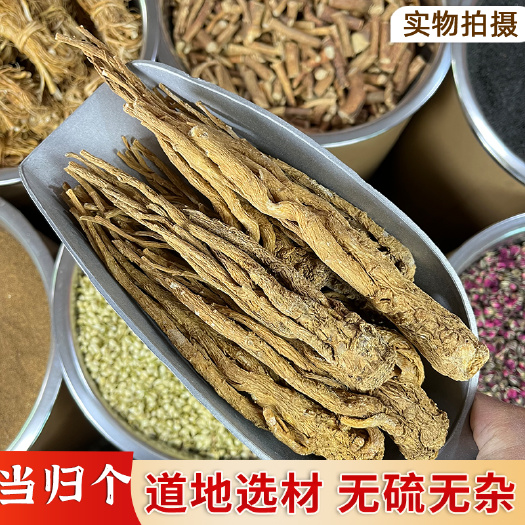 【永康元药业】中药材批发当归个无硫正宗甜当归个整根