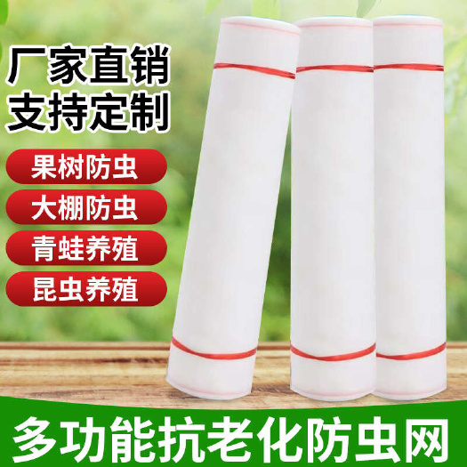 济南防虫网 防虫网果蔬防虫大棚防蚊虫窗纱网尼龙纱网布防蚊纱网纱网