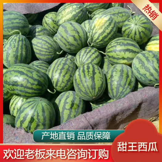 甜王西瓜  砀山产地直供 品质保障