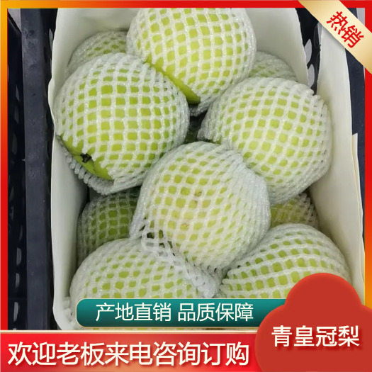 安徽砀山青皇冠梨 ，翠玉大量上市，产地直供