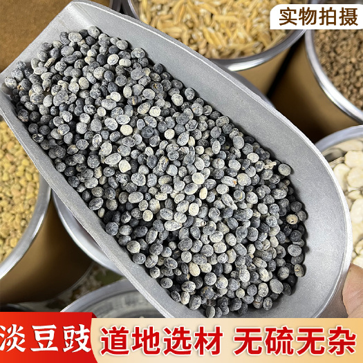 普宁市【永康元药业】中药材淡豆豉白淡豆豉黑豆豉粒干货