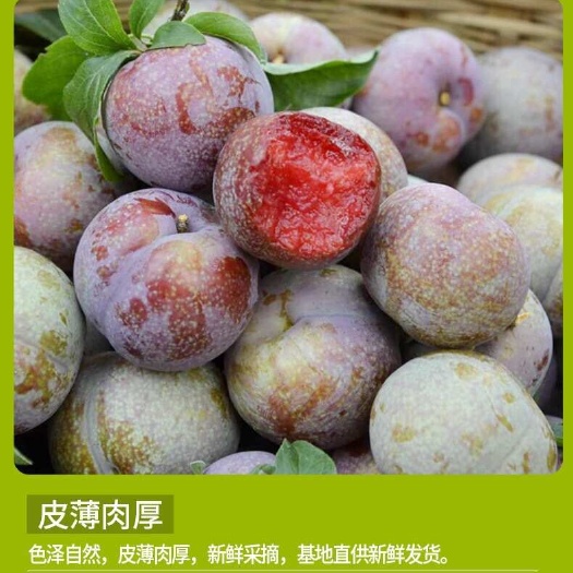 平和县福建三华李新鲜水果酸脆红心李可发顺丰