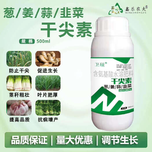 潍坊葱姜蒜韭菜干尖灵500干尖黄叶提苗
