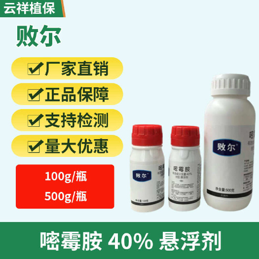 济南40%嘧霉胺悬浮剂番茄草莓灰霉病霜霉病黑星病斑点落叶病黄瓜番