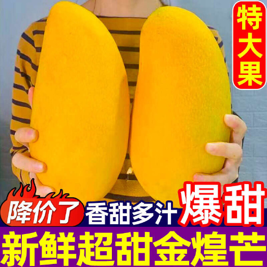 海口海南金煌芒果新鲜水果当季整箱10批发斤三亚特大果应季青甜水仙