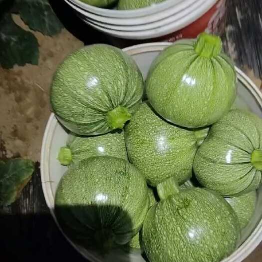 南通圆西葫芦 圆瓜