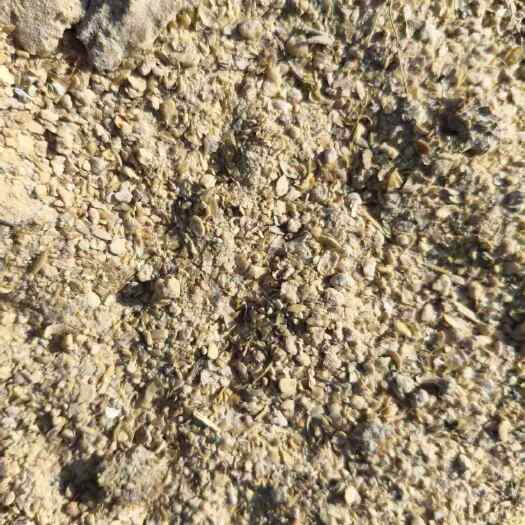 辽宁口优质豆粕 粗蛋白含量41以上 高营养加工原料