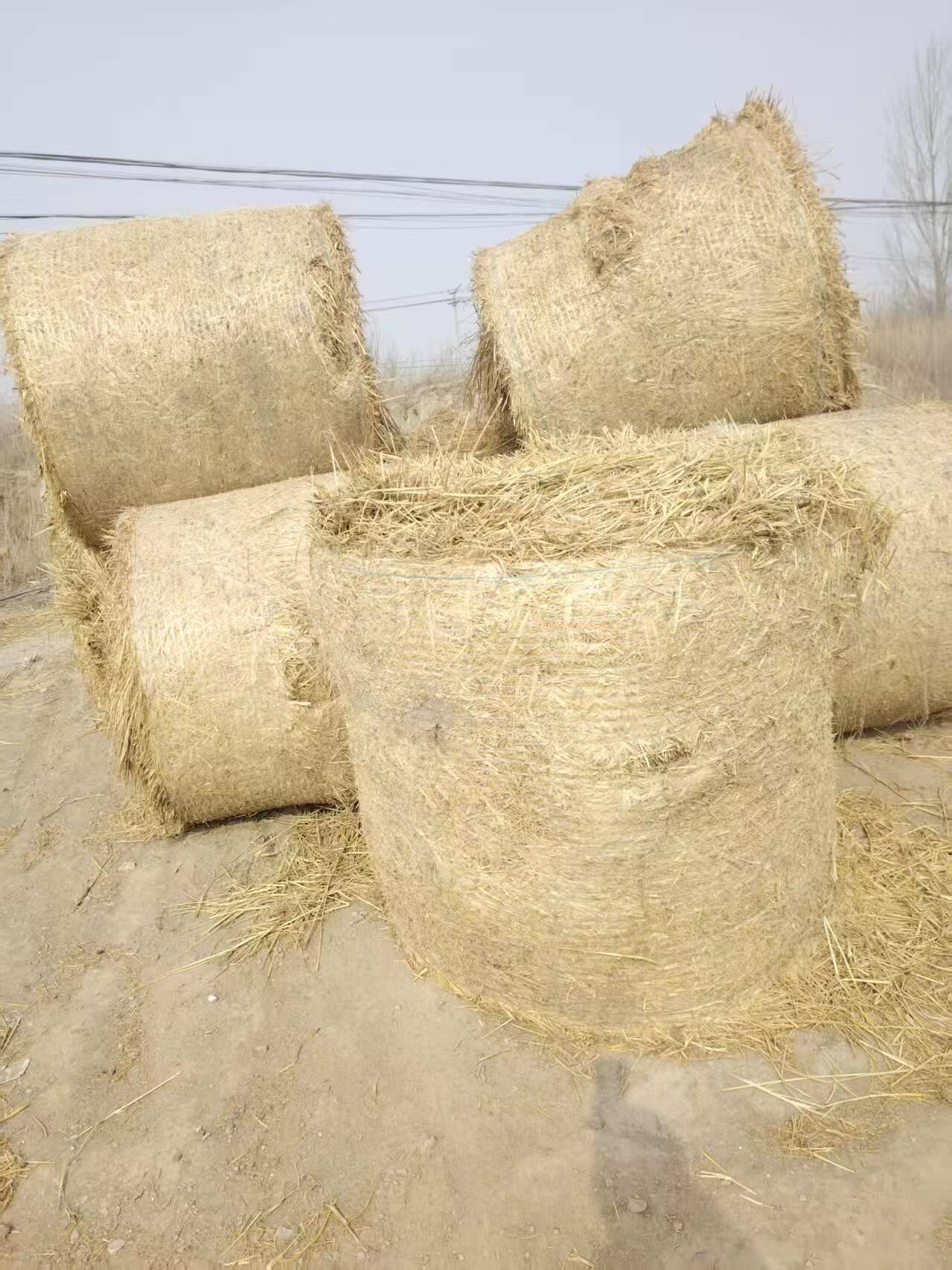 稻草适用于鸡鸭鹅猪牛羊马