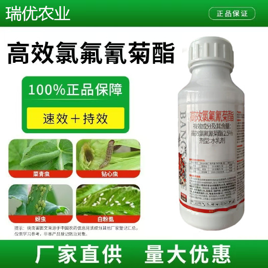 潍坊2.5%高效氯氟氰菊酯功夫菊脂花卉蔬菜果树蚜虫青虫杀虫剂农药