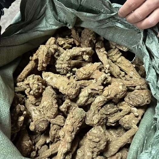 岷县当归头甘肃岷县原产地，无硫，一手货源，基地直发