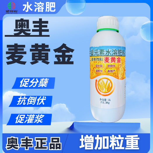 潍坊奥丰麦黄金小麦水稻大田作物