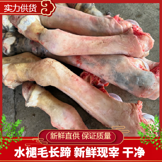 石家庄驴副产品  水褪毛长蹄 干净