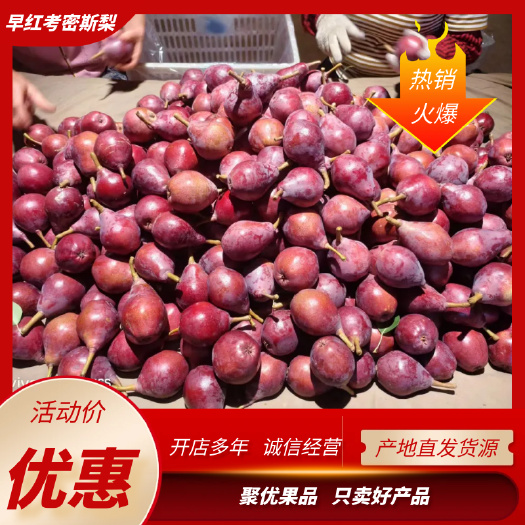 早红考密斯梨 出口及国内市场超市电商供不应求～红啤梨