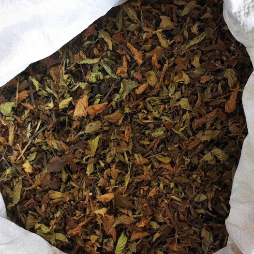 厂家直销】高胶仙草叶子潮汕草粿纯手工挑选商用